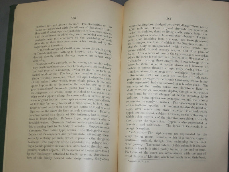 1899 THE RELATION OF MARINE BIONOMY TO STRATIGRAPHY - J 4957