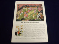 1961 MAY 6 ILLUSTRATED LONDON NEWS MAGAZINE - DUKE OF KENT - E 8085