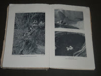 1948-1950 ORDER PASSERIFORMES BULLETINS BY ARTHUR BENT LOT OF 2- WR 955F