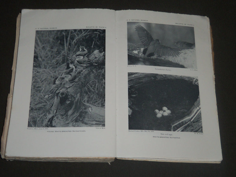 1948-1950 ORDER PASSERIFORMES BULLETINS BY ARTHUR BENT LOT OF 2- WR 955F