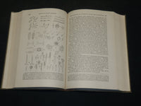 1933 MANUAL OF PLANT DISEASES BOOK BY FREDERICK DEFOREST HEALD - KD 5940