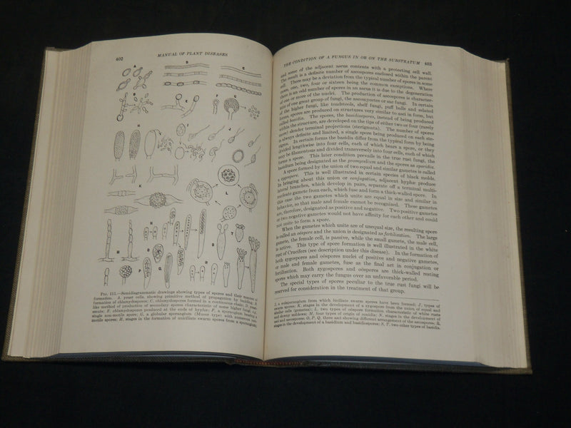 1933 MANUAL OF PLANT DISEASES BOOK BY FREDERICK DEFOREST HEALD - KD 5940