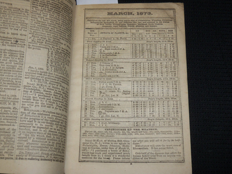 1873 ROSADALIS ALMANAC - SOFTCOVER - FLESH IN THE BLOOD - J 6868