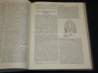 1913 JUL-DEC BERLINER KLINISCHE WOCHENSCHRIFT MAGAZINE BOUND VOLUME - R 490