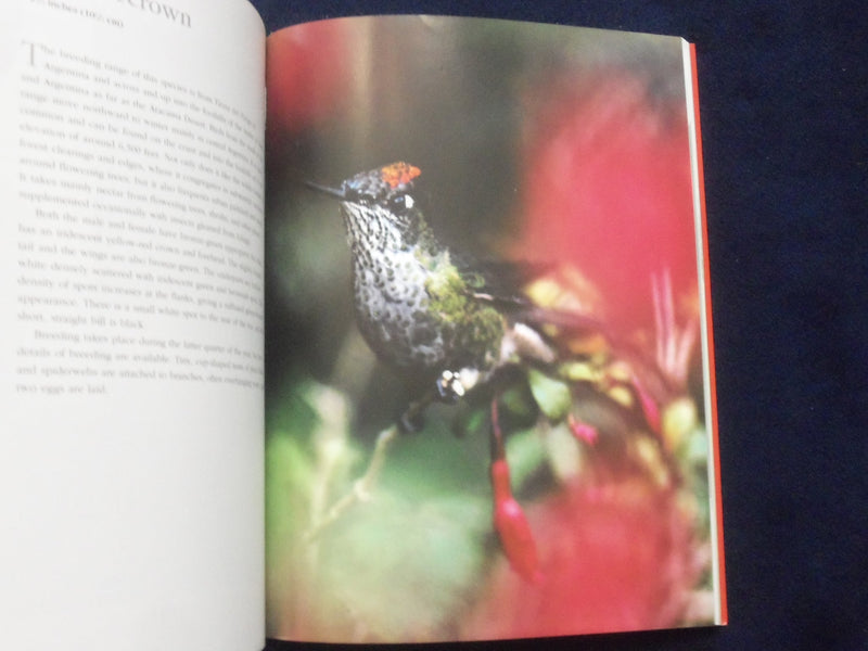 2009 THE COMPLETE BOOK OF HUMMINGBIRDS SOFTCOVER BOOK BY TONY TILFORD - KD 8822