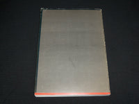 1978 SYMBOLISTISCHE TENDENZEN IN NEDERLAND 1880-1930 SOFTCOVER BOOK - R 727D