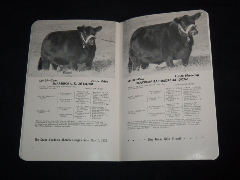 1952 GREAT MEADOWS BREEDERS ASSN. SALE - KEENLAND - KENTUCKY - J 9081
