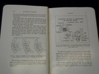 1956 THE CERVICAL SYNDROME SOFTCOVER BOOK BY RUTH JACKSON M. D. - KD 7665