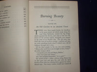 1929 BURNING BEAUTY HARDCOVER BOOK BY TEMPLE BAILEY - KD 9055