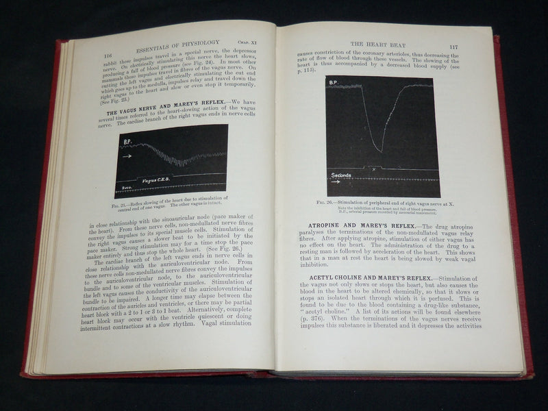 1931 ESSENTIALS OF PHYSIOLOGY BOOK BY BAINBRIDGE & MENZIES - 5TH EDN - KD 2761Y
