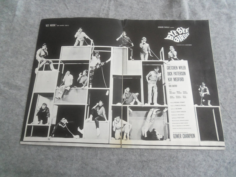 1961 BYE BYE BIRDIE BROADWAY PROGRAM - DICK PATTERSON - KAY MEDFORD - J 7615