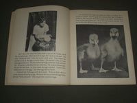 1932 ON OUR FARM SOFTCOVER BOOK - GREAT PHOTOS - J 2644