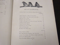 1902 BIRD HOMES EGGS & BREEDING BY A. R. DUGMORE - GREAT ILLUSTRATIONS - KD 33