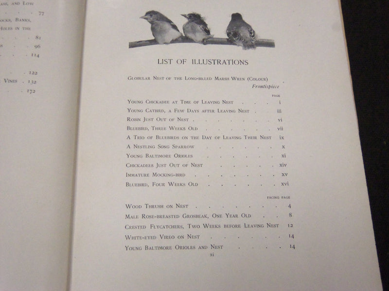1902 BIRD HOMES EGGS & BREEDING BY A. R. DUGMORE - GREAT ILLUSTRATIONS - KD 33
