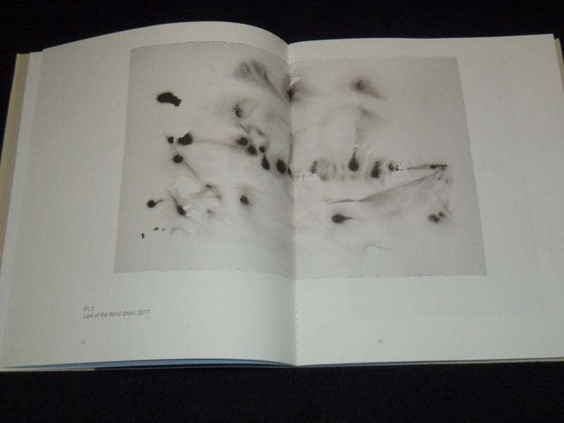 2018 WHITNEY MCVEIGH ELEGY TO NATURE ESSAY BY SIMON SCHAMA - J 7889