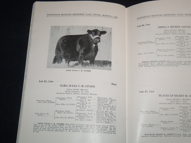 1952 NORTHEAST MISSOURI ABERDEEN-ANGUS BREEDERS' SALE CATALOG - MEMPHIS - J 9102