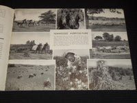 1950'S TENNESSEE THE NATION'S MOST INTERESTING STATE VIEW BOOK - J 7937