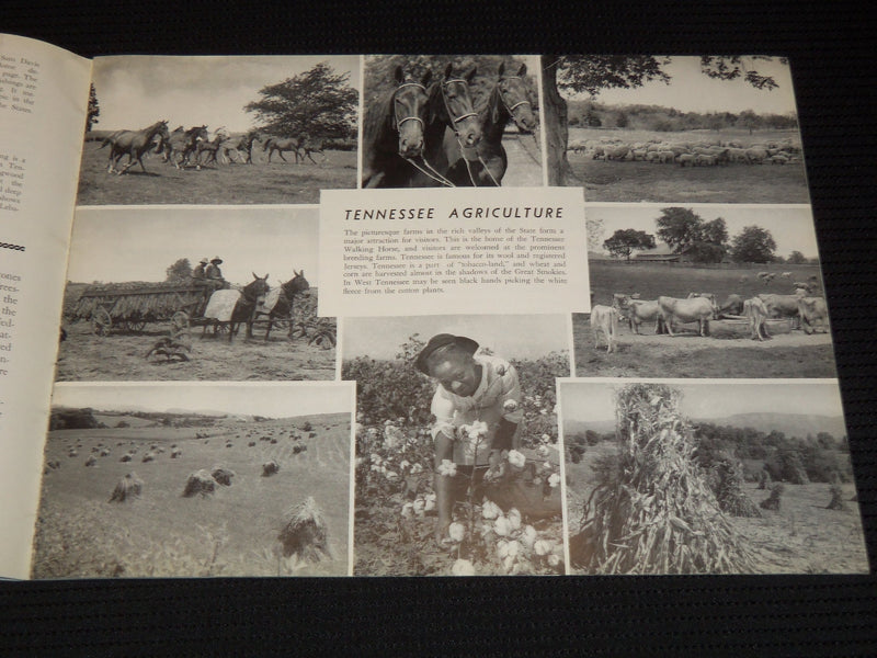 1950'S TENNESSEE THE NATION'S MOST INTERESTING STATE VIEW BOOK - J 7937