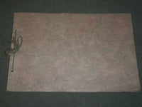 1900'S THE CHICAGO NORMAL OF PHYSICAL EDUCATION VIEW BOOK - J 3571