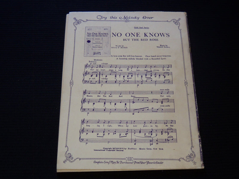 1928 DAILEY PASKMAN'S RADIO MINSTRELS SONG BOOK - SOFTCOVER - J 8034