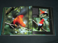 2006 RAINFOREST HARDCOVER BOOK BY THOMAS MARENT - NICE PHOTOS - I 1761