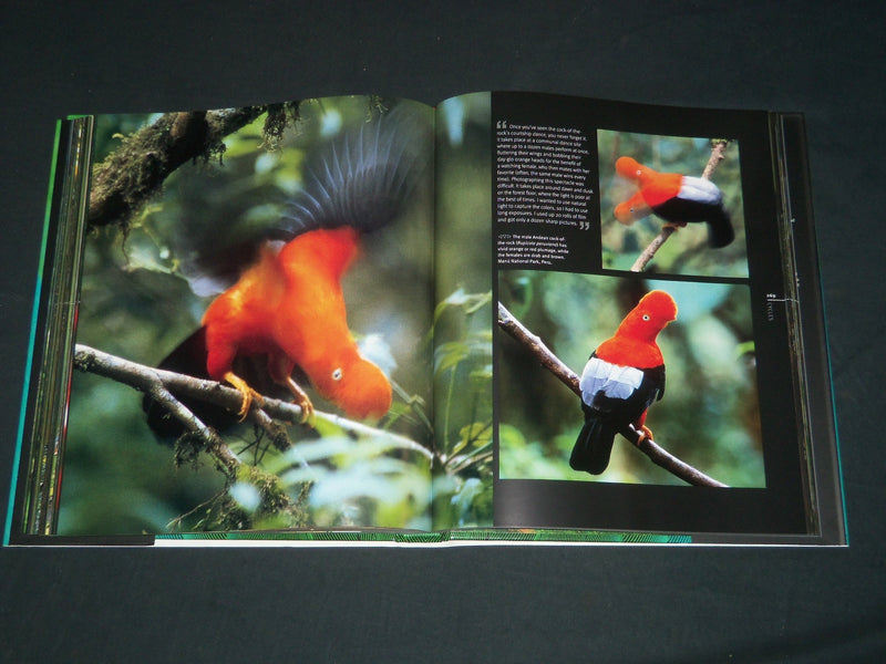 2006 RAINFOREST HARDCOVER BOOK BY THOMAS MARENT - NICE PHOTOS - I 1761