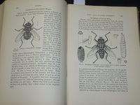 1900 WASHINGTON ACADEMY OF SCIENCES PROCEEDINGS VOLUME NO. 2 - PLATES - KD 5909