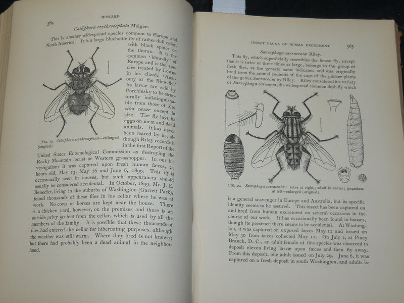1900 WASHINGTON ACADEMY OF SCIENCES PROCEEDINGS VOLUME NO. 2 - PLATES - KD 5909