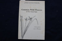 1965 COMMON WILD FLOWERS OF NEW YORK STATE SOFTCOVER BOOK - K 996
