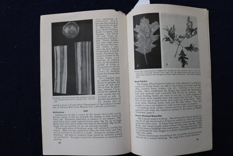 1942 & 1948 SHADE TREES CARE & COMMON DISEASES SOFTCOVER BOOKS -LOT OF 2- K 1414