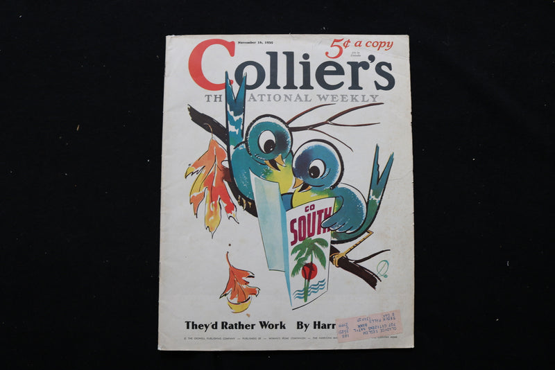 1935 NOV 16 COLLIER'S MAGAZINE - BIRDS PLANNING TO FLY SOUTH COVER - E 11023