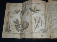 1797 STUDIES OF NATURE - BERNARDIN - HENRY HUNTER - VOLUME LOT OF 3 - KD 4671H