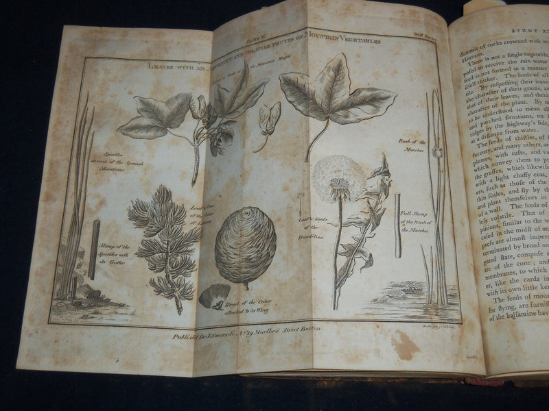 1797 STUDIES OF NATURE - BERNARDIN - HENRY HUNTER - VOLUME LOT OF 3 - KD 4671H