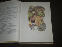 1984 FAVORITE TALES FROM GRIMM & ANDERSEN BOOK - JIRI TRNKA ILLUSTRATIONS- I 755