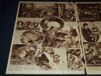 1930 NOV 2 PITTSBURGH SUN TELEGRAPH GRAVURE - THREE CLOWNS - KNIGHT - NT 9586