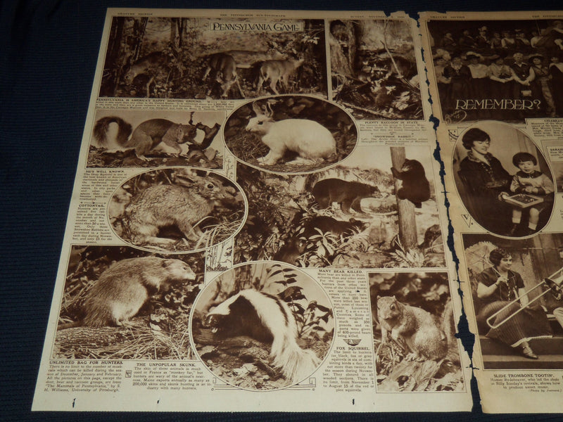 1930 NOV 2 PITTSBURGH SUN TELEGRAPH GRAVURE - THREE CLOWNS - KNIGHT - NT 9586