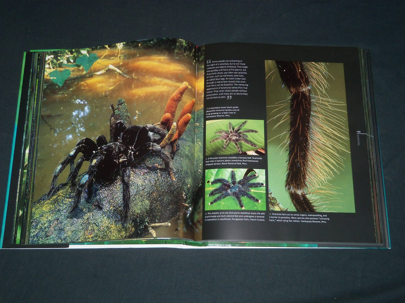 2006 RAINFOREST HARDCOVER BOOK BY THOMAS MARENT - NICE PHOTOS - I 1761