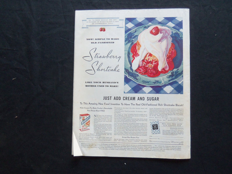 1933 MAY 20 THE SATURDAY EVENING POST MAGAZINE - ILLUSTRATED COVER - SP 1513