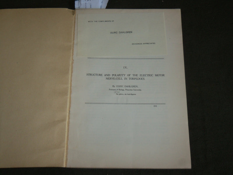 1915 ELECTRIC MOTOR NERVE CELL IN TORPEDOES BOOK BY ULRIC DAHLGREN - J 7115