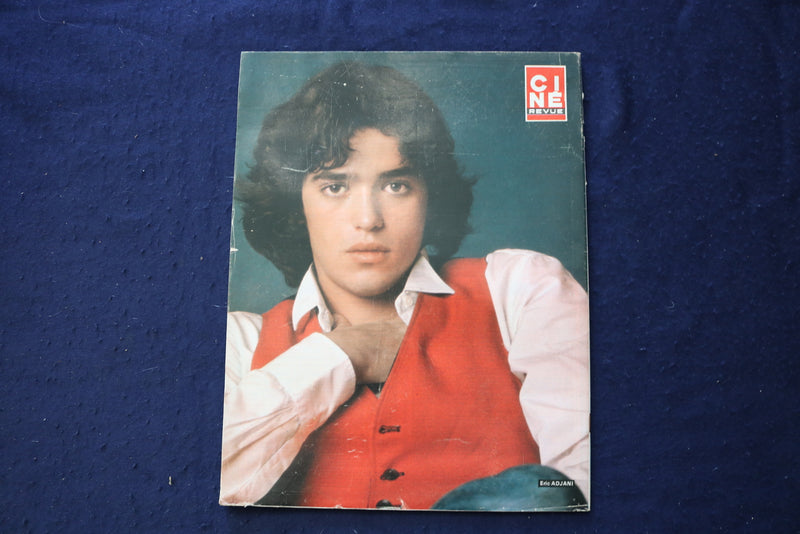 1979 NOVEMBER 22 CINE REVUE MAGAZINE - SYBIL DANNING COVER - E 23515
