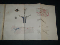 1864-1876 ARCHIV FUR OPHTHALMOLOGIE BOUND VOLUME LOT OF 11 - GERMAN - R 953