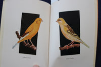 1941 CANARIES THEIR CARE AND BREEDING SOFTCOVER BOOK - K 980