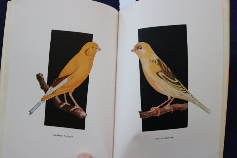 1941 CANARIES THEIR CARE AND BREEDING SOFTCOVER BOOK - K 980