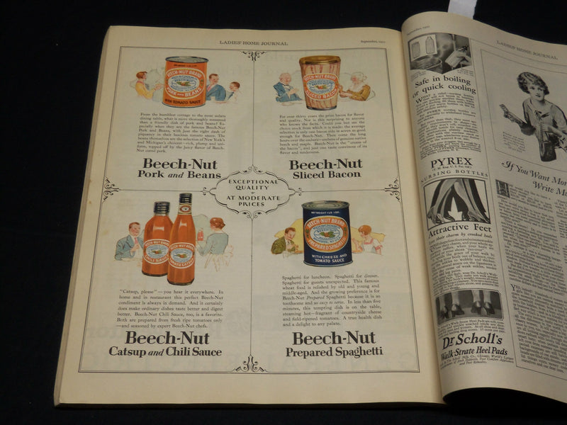 1927 SEPTEMBER LADIES HOME JOURNAL MAGAZINE - KEWPIEVILLE - NICE ADS - F 360