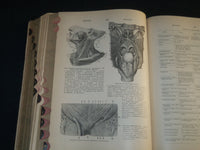 1907 AN ILLUSTRATED DICTIONARY OF MEDICINE BIOLOGY BOOK BY GEORGE GOULD- KD 1421