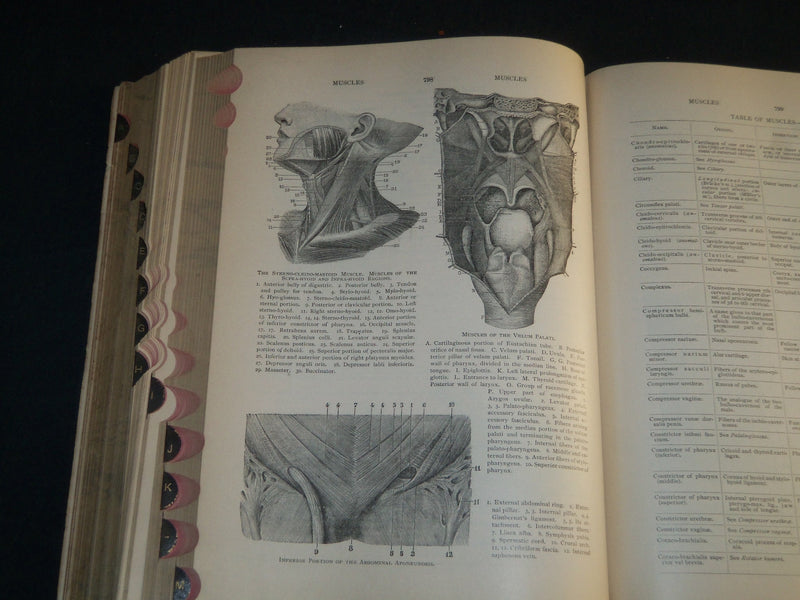 1907 AN ILLUSTRATED DICTIONARY OF MEDICINE BIOLOGY BOOK BY GEORGE GOULD- KD 1421