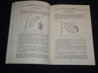 1953 FOREST TREES OF ILLINOIS HOW TO KNOW THEM BOOK - J 8630