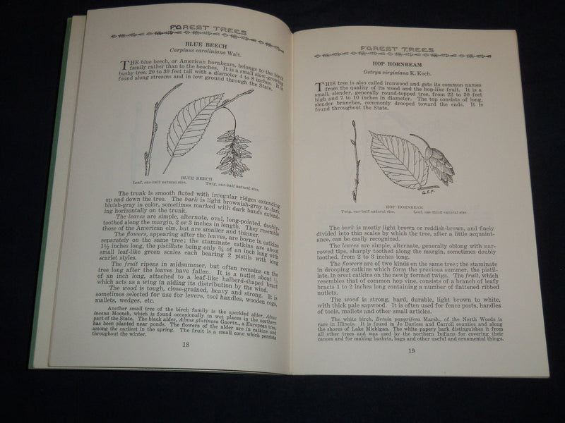 1953 FOREST TREES OF ILLINOIS HOW TO KNOW THEM BOOK - J 8630