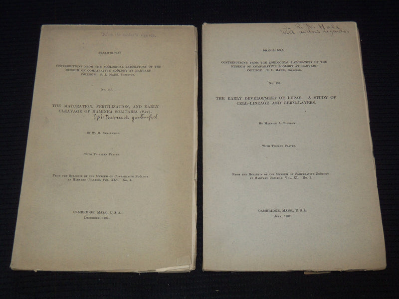 1902-1904 HARVARD ZOOLOGICAL LABORATORY STUDY BOOKS LOT OF 3 - O 2366Q