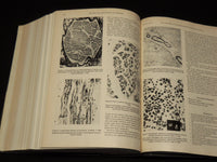 1977 JANUARY-JUNE THE NEW ENGLAND JOURNAL OF MEDICINE BOUND VOLUME - KD 6132R